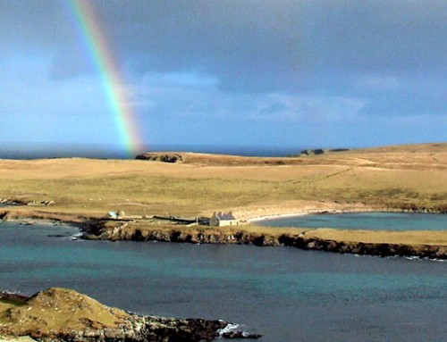 Viaggio alle Isole Shetland – Estate 2025