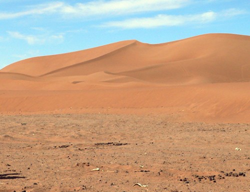 Marocco del Sud in camper – Capodanno 2026
